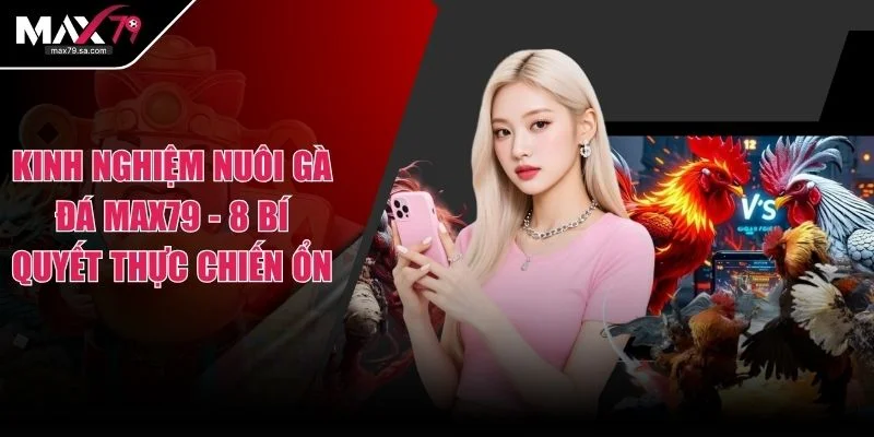 Kinh Nghiệm Nuôi Gà Đá MAX79 - 8 Bí Quyết Thực Chiến Ổn